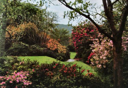 Wild Word Garden on Bodnant Garden Features An Extensive And Varied Range Of